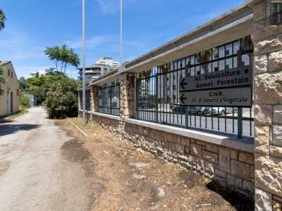 Per ammirarlo dobbiamo cos� entrare dall�ingresso dell�ex facolt� di Agraria e costeggiare il muro perimetrale del Campus, fino al cartello che ci indica l�istituto che ha sede nella villa